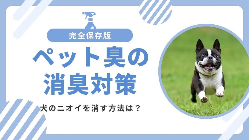ペット臭の消臭対策5選!犬の匂いを消す方法をご紹介 - カルモアダイレクト